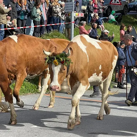 Grande Ourse * Gryon