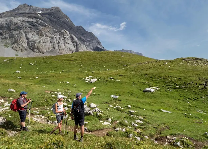 Chalet Grande Ourse Gryon