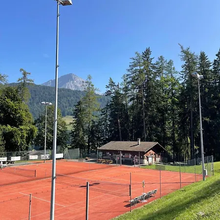 Dağ evi Grande Ourse Gryon