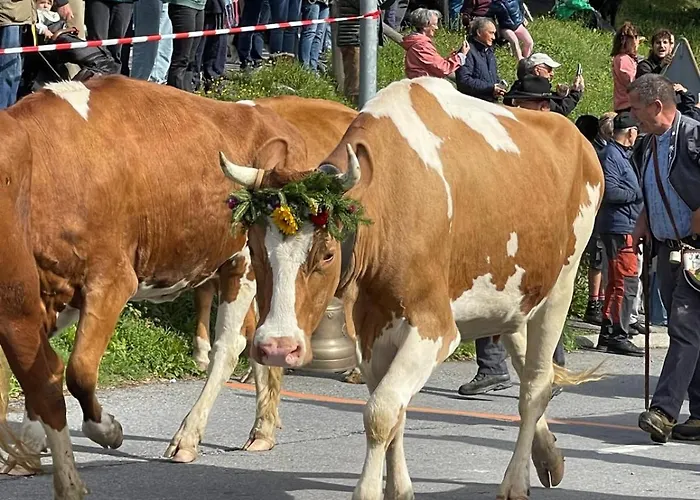 Grande Ourse * 格里翁